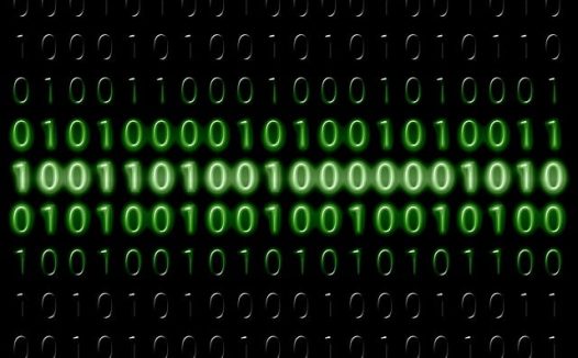 未来展望视角：软件开发公司的生存与进化路径